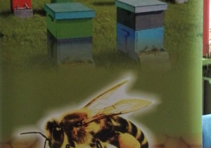 plakat przedstawiający pszczołę