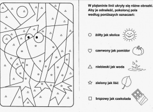 karta pracy - żaba